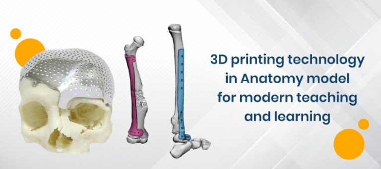 3D printing technology in Anatomy model for modern teaching and ...