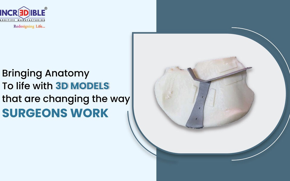 Bringing Anatomy to Life with 3D Models That Are Changing the Way Surgeons Work