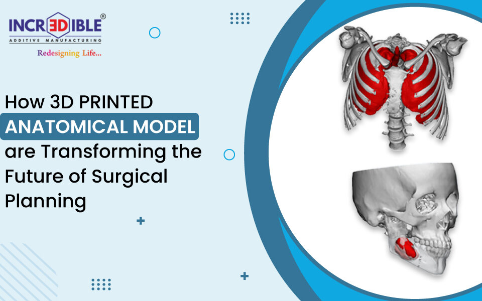 How 3D Printed Anatomical Models Are Transforming the Future of Surgical Planning