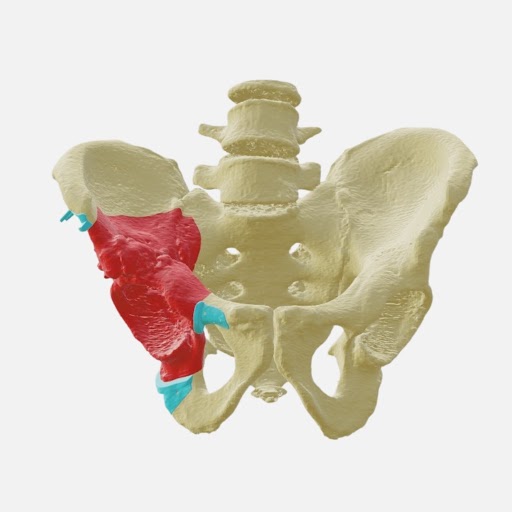Surgical Guide